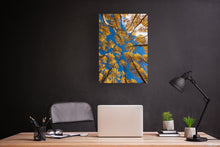 Load image into Gallery viewer, Autumn Aspens 20" x 30"