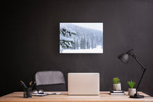 Load image into Gallery viewer, Sno Deal Spruce 30" x 20"