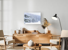 Load image into Gallery viewer, Sno Deal Spruce 30" x 20"