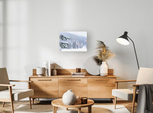 Load image into Gallery viewer, Sno Deal Spruce 22" x 15"