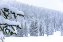 Load image into Gallery viewer, Sno Deal Spruce 30" x 20"