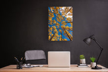 Load image into Gallery viewer, Autumn Aspens 20&quot; x 30&quot;
