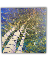 Load image into Gallery viewer, Summer Aspens Box Art
